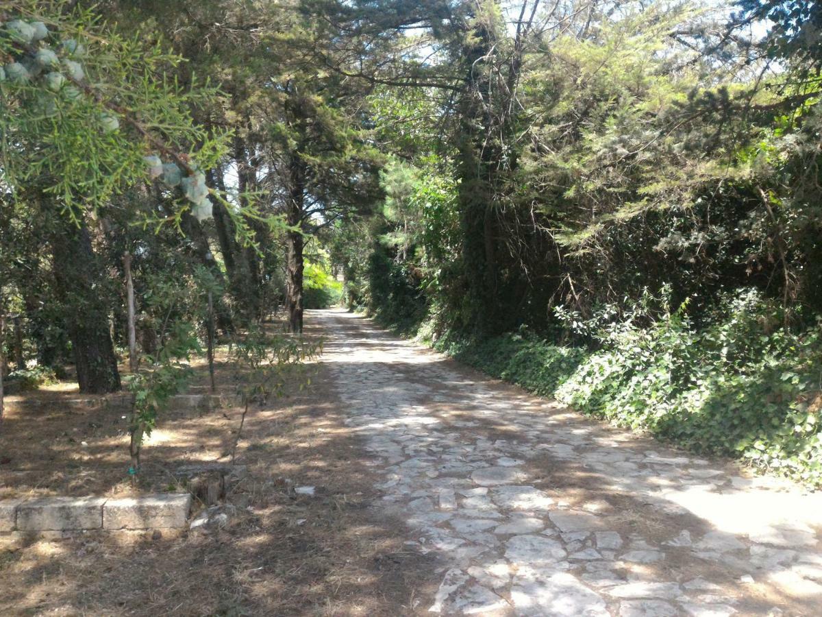 Masseria La Fiorita Matera Ngoại thất bức ảnh
